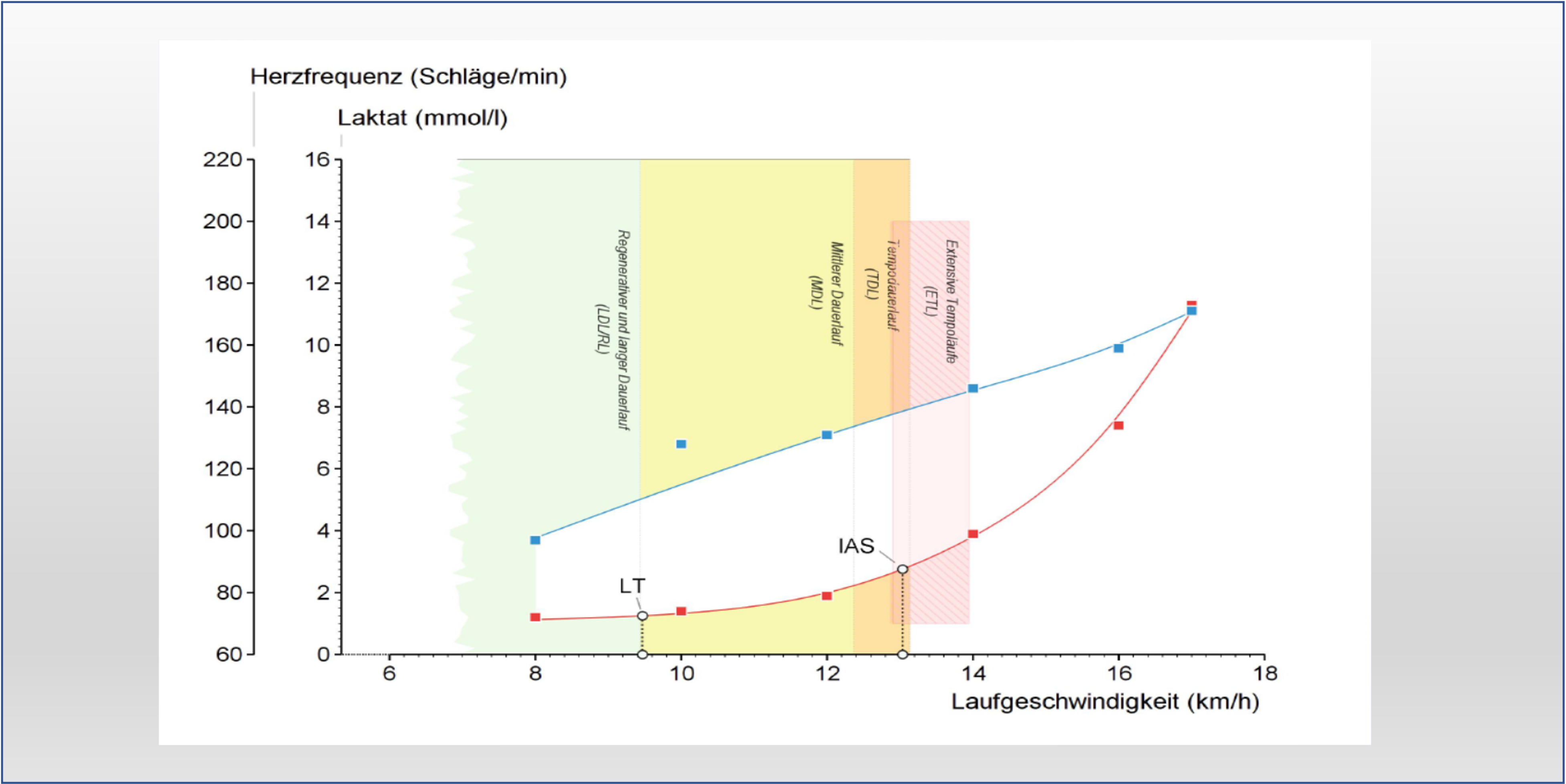 Leistungen – cardiologen.de